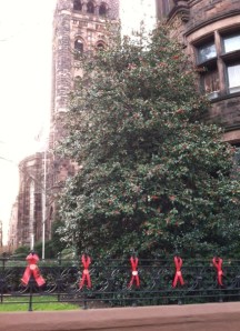 At the corner of Park Place and Sixth Avenue in Brooklyn.