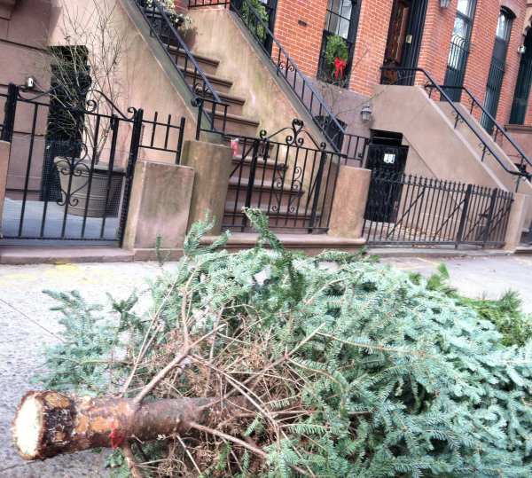 Twelfth Day or Not: When the New Year comes in, Christmas goes out. Call it the Mulch of Memory.