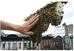 caption tk not as scary as it looks