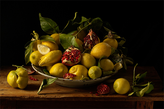 Paulette Tavormina: Natura Morta. Lemons and Pomegranates, after J.V.H., 2010. Robert Mann Gallery