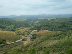 Loup Blanc Winery, Bize-Minervois.